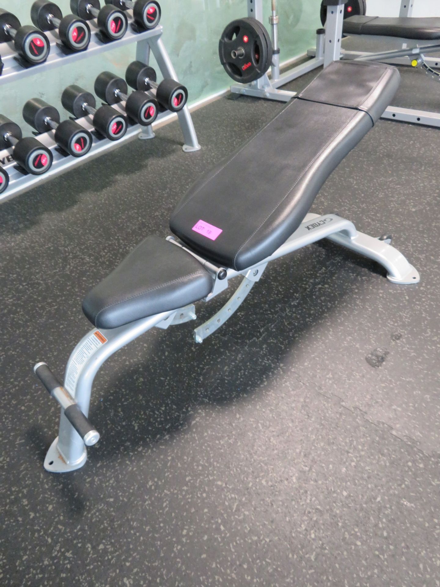 Cybex Height Adjustable Gym Bench. - Image 2 of 5