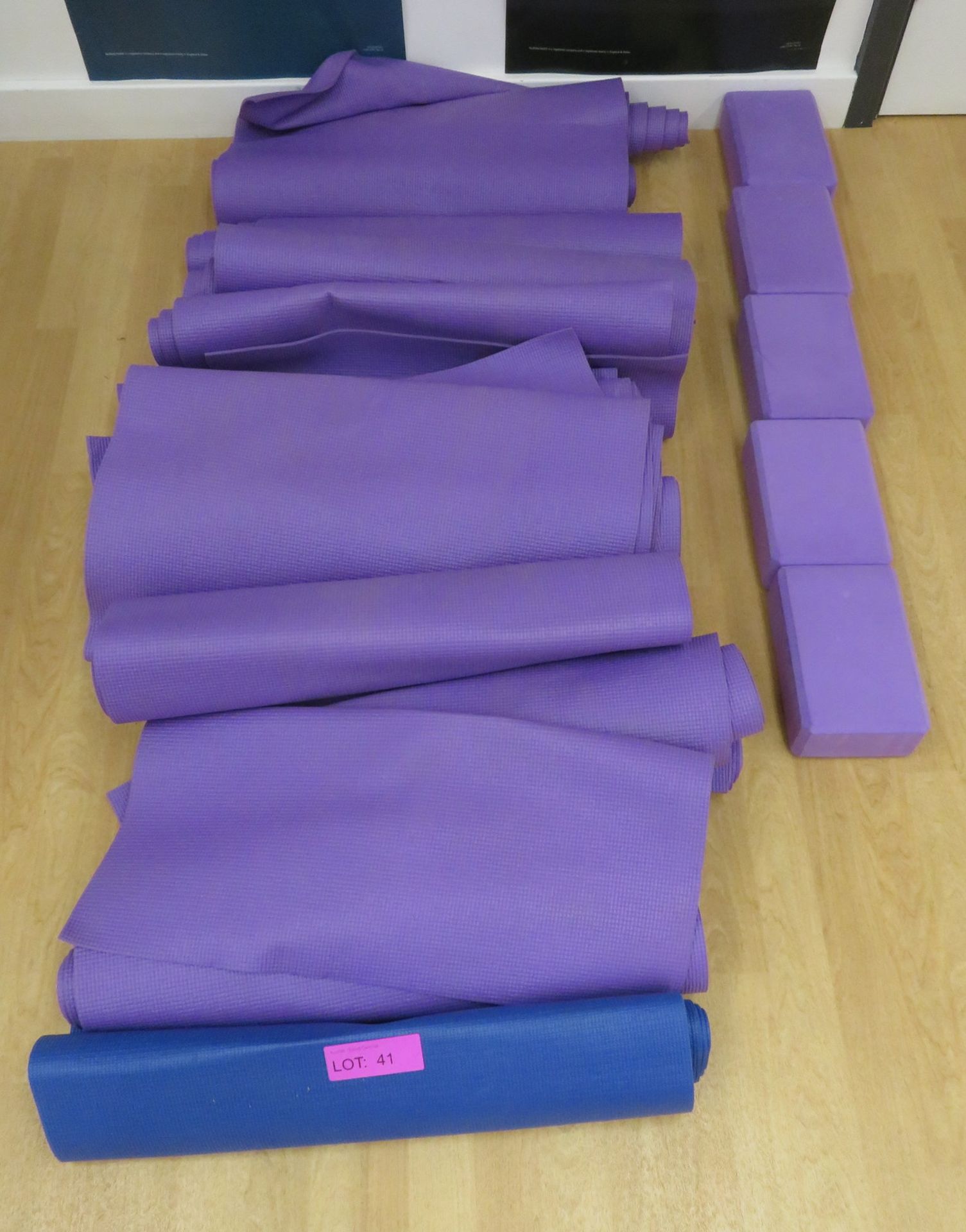 14x Gym/Studio Exercise Mats & 5x Foam Block.