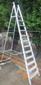 11 tread & platform step ladders