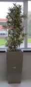 Large Artificial Potted Tree. Approximately 2400mm In Height.