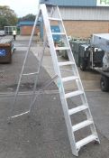 9 step & platform safety ladder