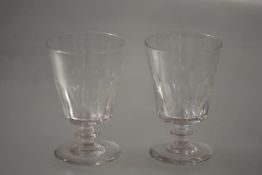 A pair of 19th century glass rummers, each with panelled bucket bowl, on a knopped stem over a