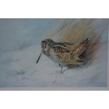 After Archibald Thorburn, Woodcock, limited edition print, 331 (30cm x 40cm), £20-30