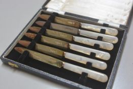 A set of six Sheffield silver bladed mother of pearl handled fruit knives, complete with original fi