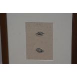 A late 19thc study, Two Seashells, watercolour, unsigned, in oak glazed frame (21cm x 14cm)