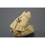 Taxidermy: a herbivore's jaw and teeth, possibly a donkey. Length 12.5cm