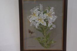 HEM., Lilium of Auratum, watercolour, signed with initials (52cm x 40cm)