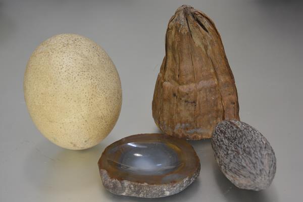 An ostrich egg (h.17cm), an agate dish, a coco pod (l.15cm), and a seed pod (l.19cm)