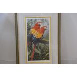 Adrian C Rigby, Ara Macao Scarlet Macaw, a pair of macaws in tropical setting, limited edition print