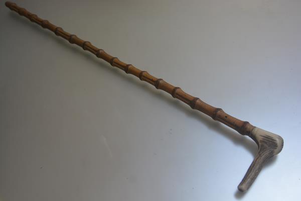 A Stanhope of Inverurie knarled horn handled walking cane (l.86cm)