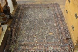 An antique Cobi rug, the centre panel with alternating rows of boteh enclosed within a rope, lozenge