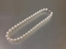 A cultured freshwater pearl single strand necklace, the uniform strand on a silver clasp stamped