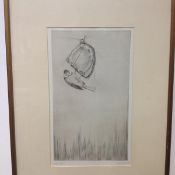 British School, early 20th century, "Blue Tit", an etching signed lower right (Alfred Pruitt?),