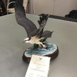 A Border Fine Arts Classic Osprey, no. 208/500, designed by Ray Ayres, master sculptor and John H