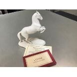 A Levade by Pamela du Boulay fine bisque Spanish Lipitzana model horse June 3rd 1981, complete