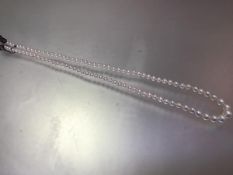 A cultured graduated strand of pearls (largest approx:9mm) (l.23cm)