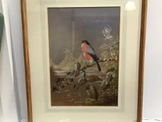 Harry Bright (1846-1895), Chaffinch with Blackberries, watercolour, signed (41cm x 29cm excluding