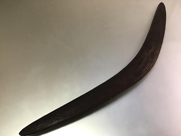 An Aboriginal war boomerang, carved to one side with a sinuous snake-like design. Length 74cm