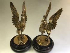 A pair of Chinese brass models of standing peacocks, each with wings outstretched, mounted on a