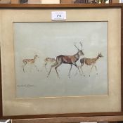 Phyllis M Bone (Scottish 1874-1972), Red Deer, watercolour, signed lower left in pencil (20cm x