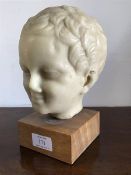 A 1960s British Museum resin copy bust of Eros (with base: h.23cm)