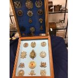 A collection of British Military badges in two glazed frames including Scottish, Canadian, helmet