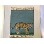 Indian School, c. 1900, a Bengal tiger, opaque watercolour on paper, between bands of script and