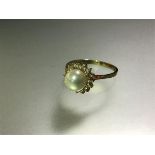A cultured pearl and diamond cluster ring, the central pearl (approx. 6mm diameter) within a band of