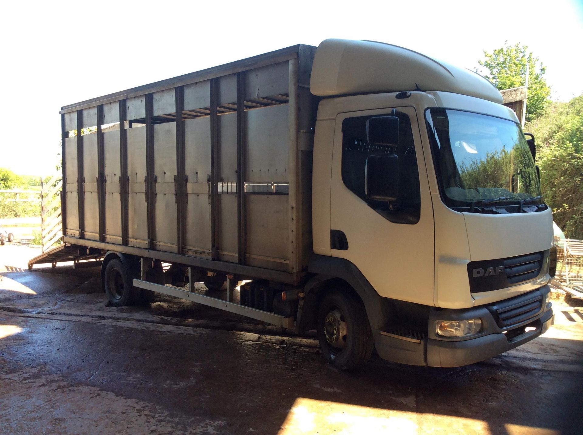 DAF LF 7.5T Lorry with 18' Cattle Box