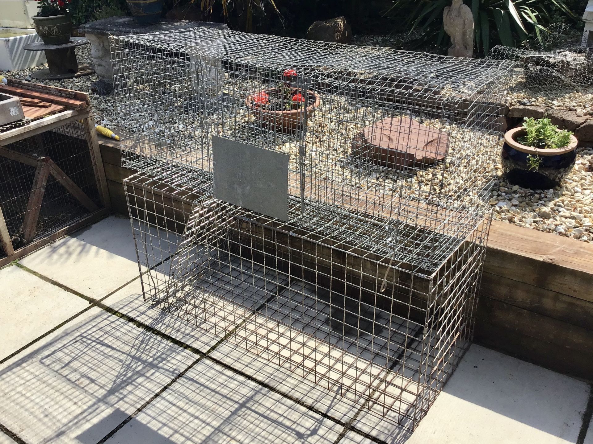 1 FOX TRAP AND 1 BIRD TRAP