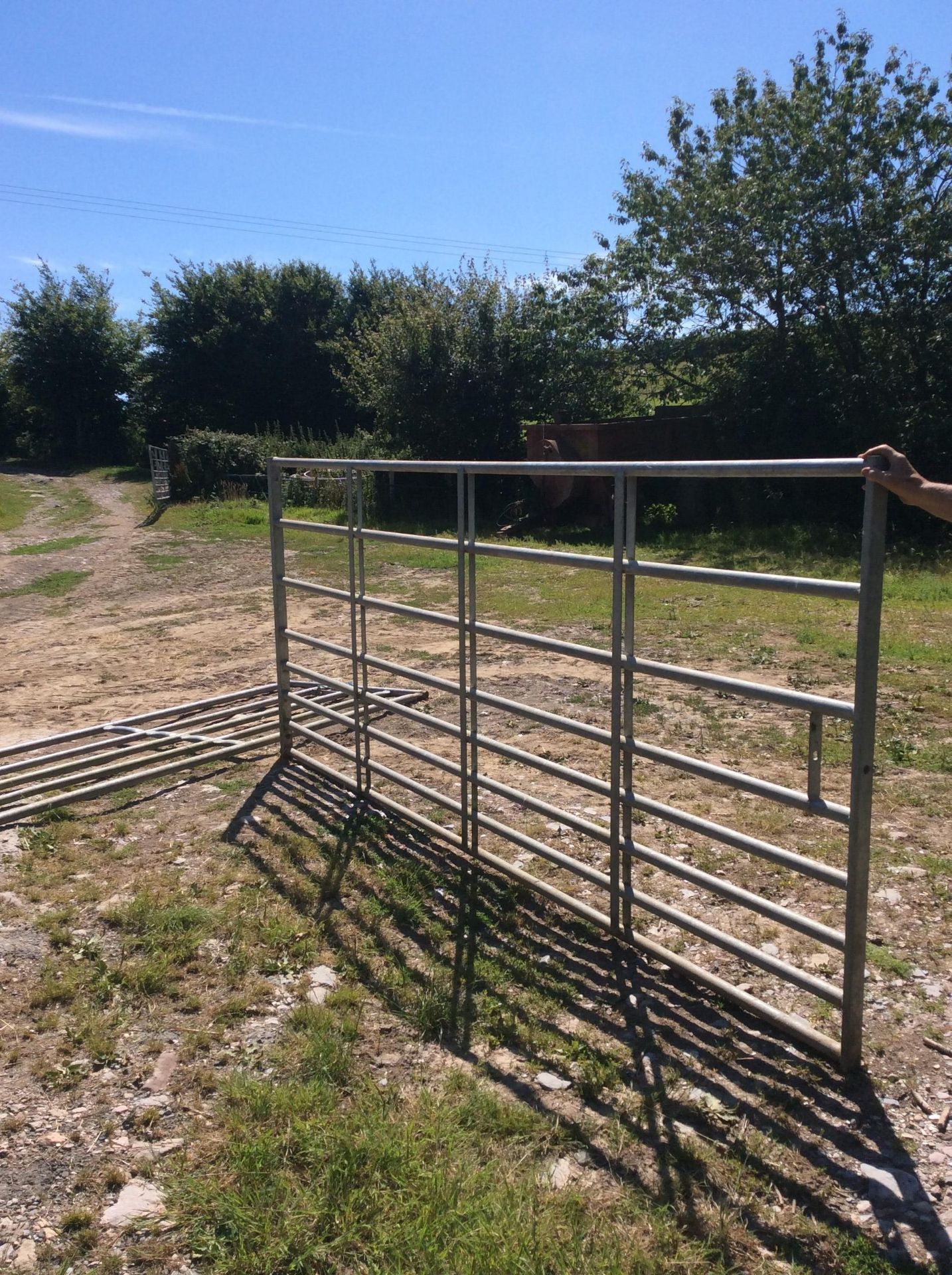 NEW 12' YARD GATE