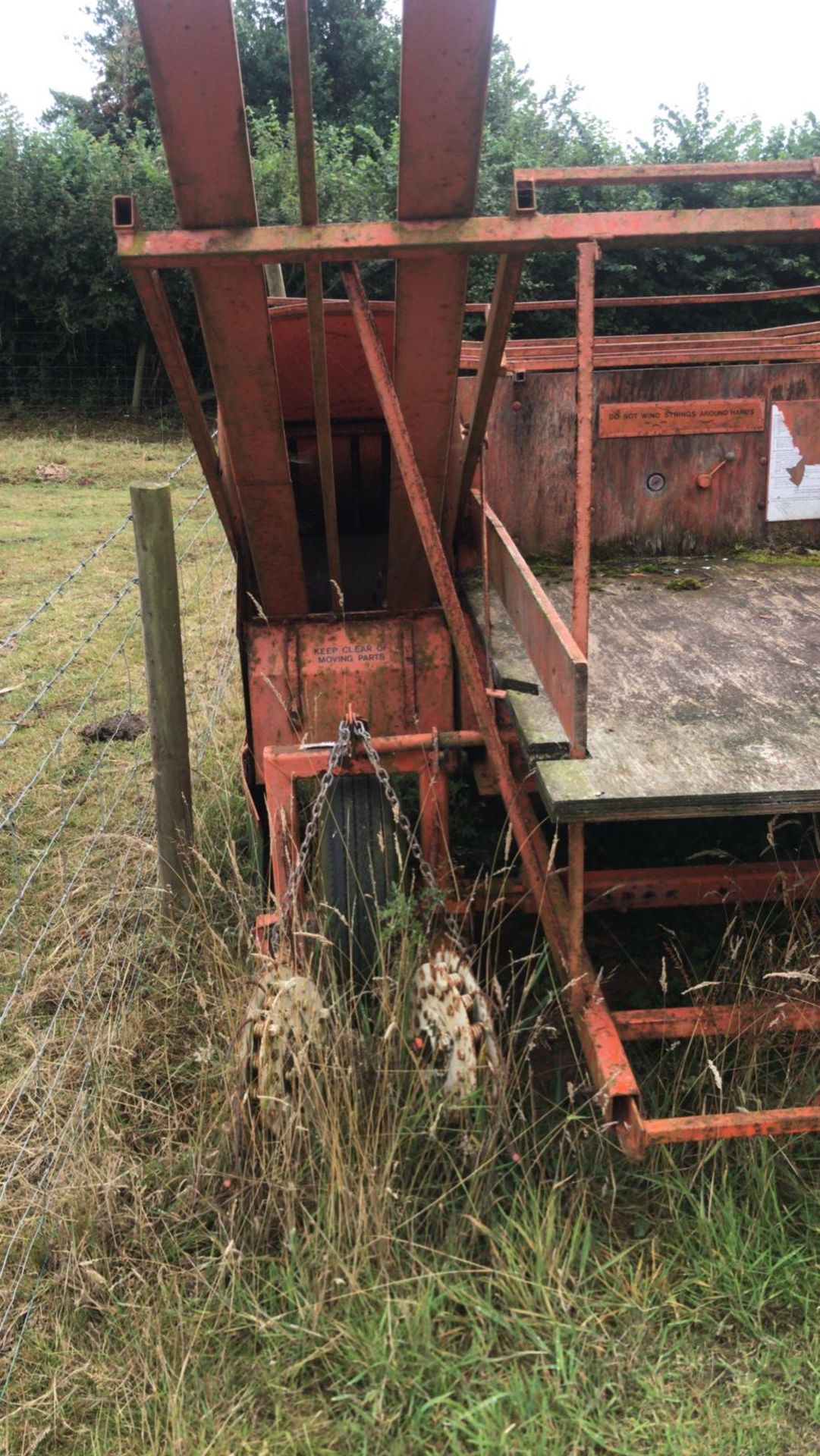 HOMEMADE STRAWBERRY STRAW BEDDER - Image 3 of 7