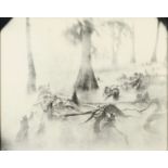 Sally Mann "Untitled/ Deep South #30" Photograph