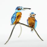 Swarovski Crystal Paradise Kingfishers