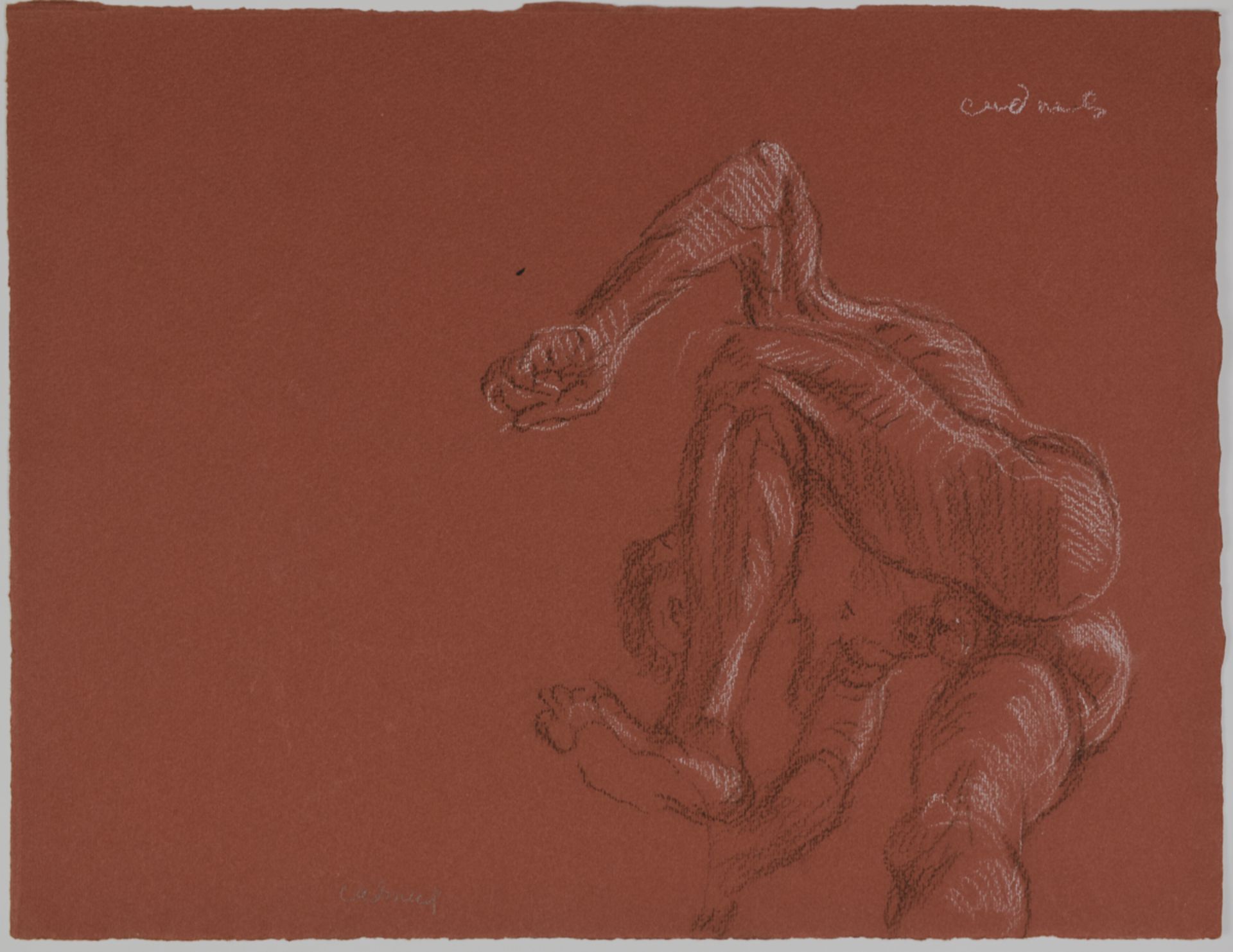 Paul Cadmus Male Nude in Dynamic Pose Crayon on Red Paper - Bild 2 aus 5