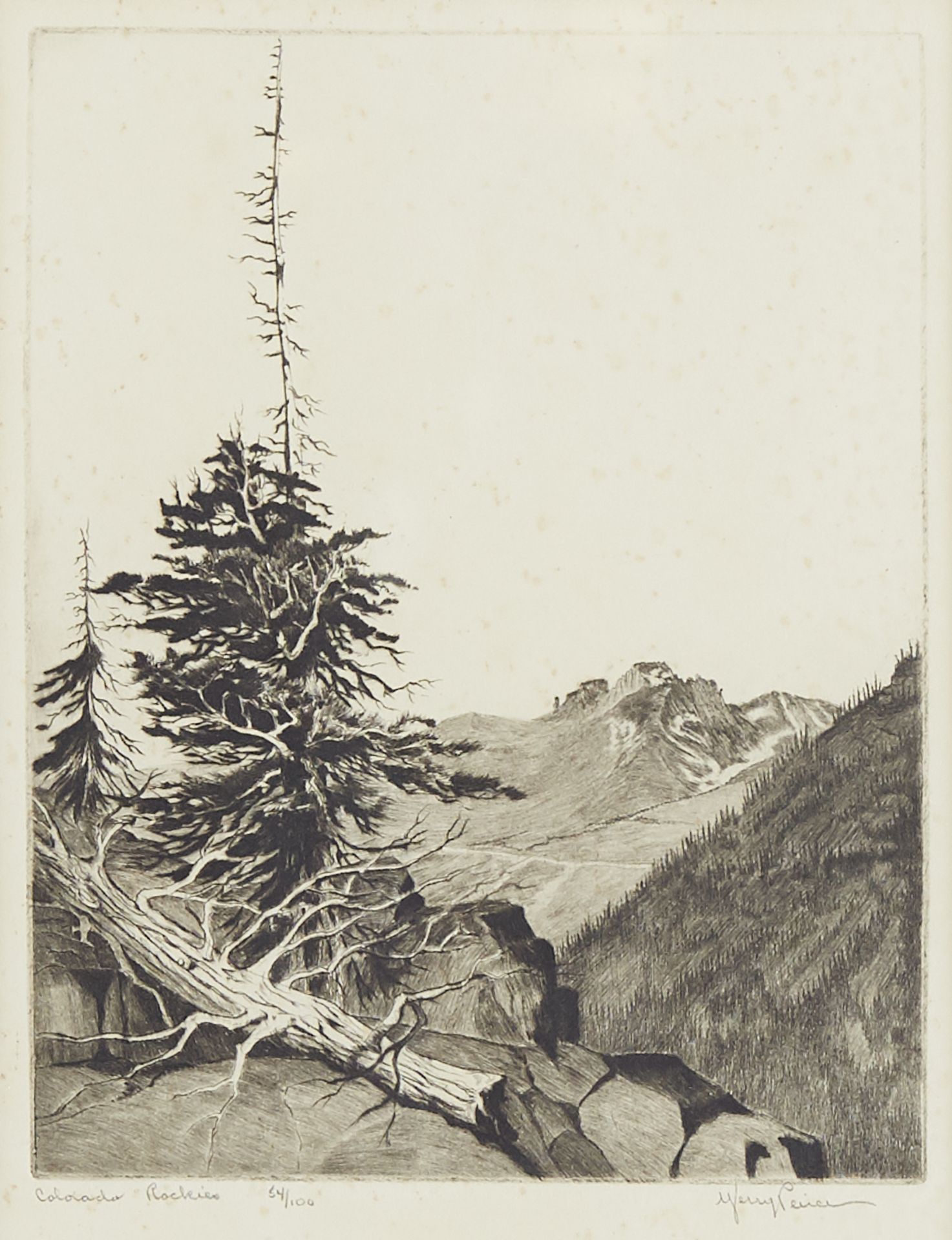 Grp: 4 20th c Nature Etching Prints - Bild 7 aus 12