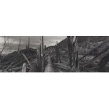 Frank Gohlke "Downed Trees Near Ryan Lake" Photograph