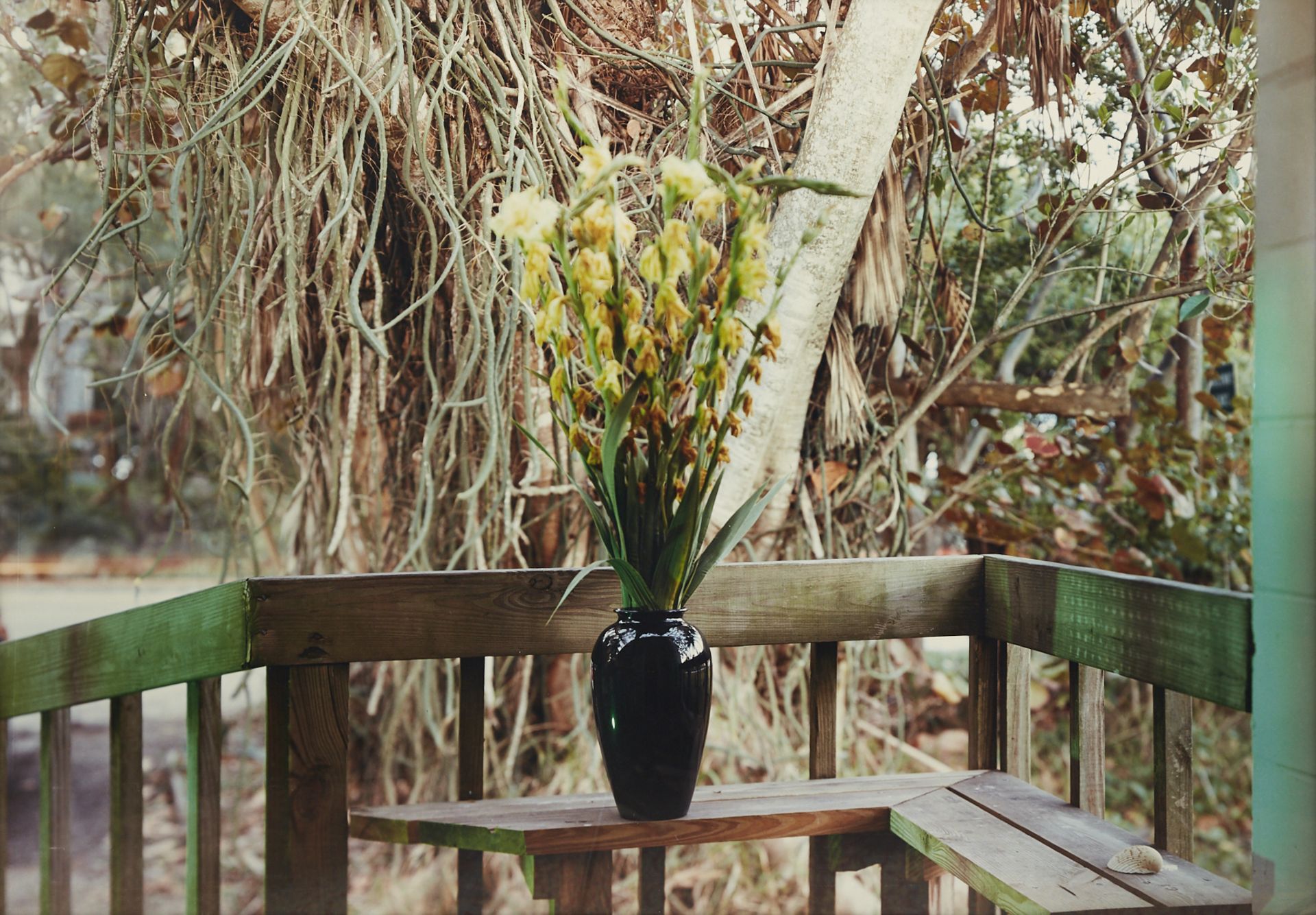 JoAnn Verburg Vase of Flowers Large Photograph