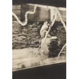 Michael Mazur "Monkey Central Park" Monotype