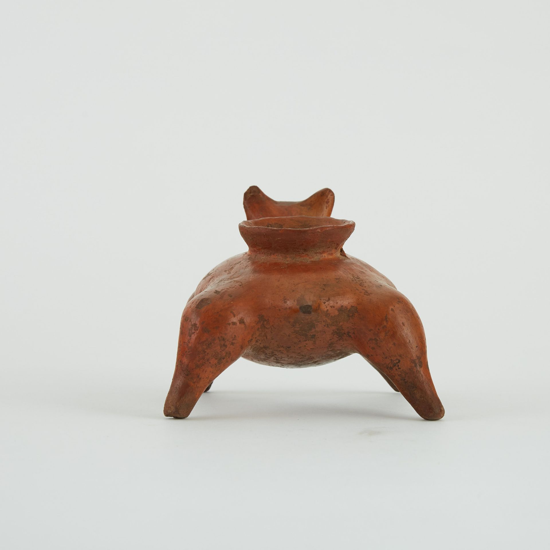 Pre-Columbian Nayarit Ceramic Dog Vessel - Bild 4 aus 6