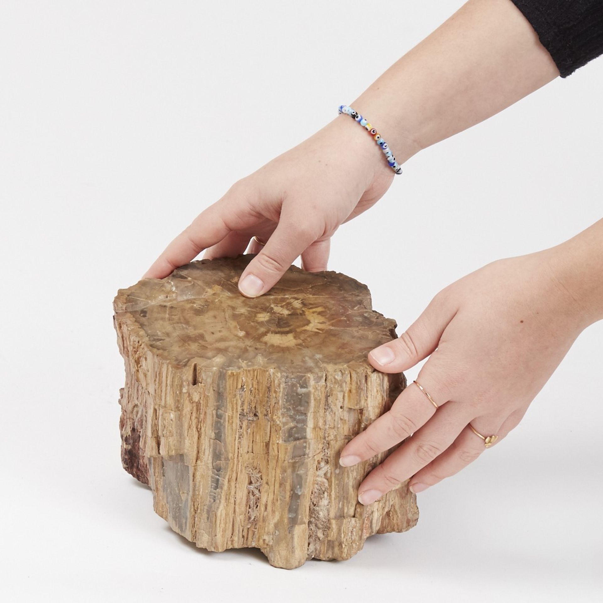 Large Petrified Wood Stump or Branch - Image 5 of 7