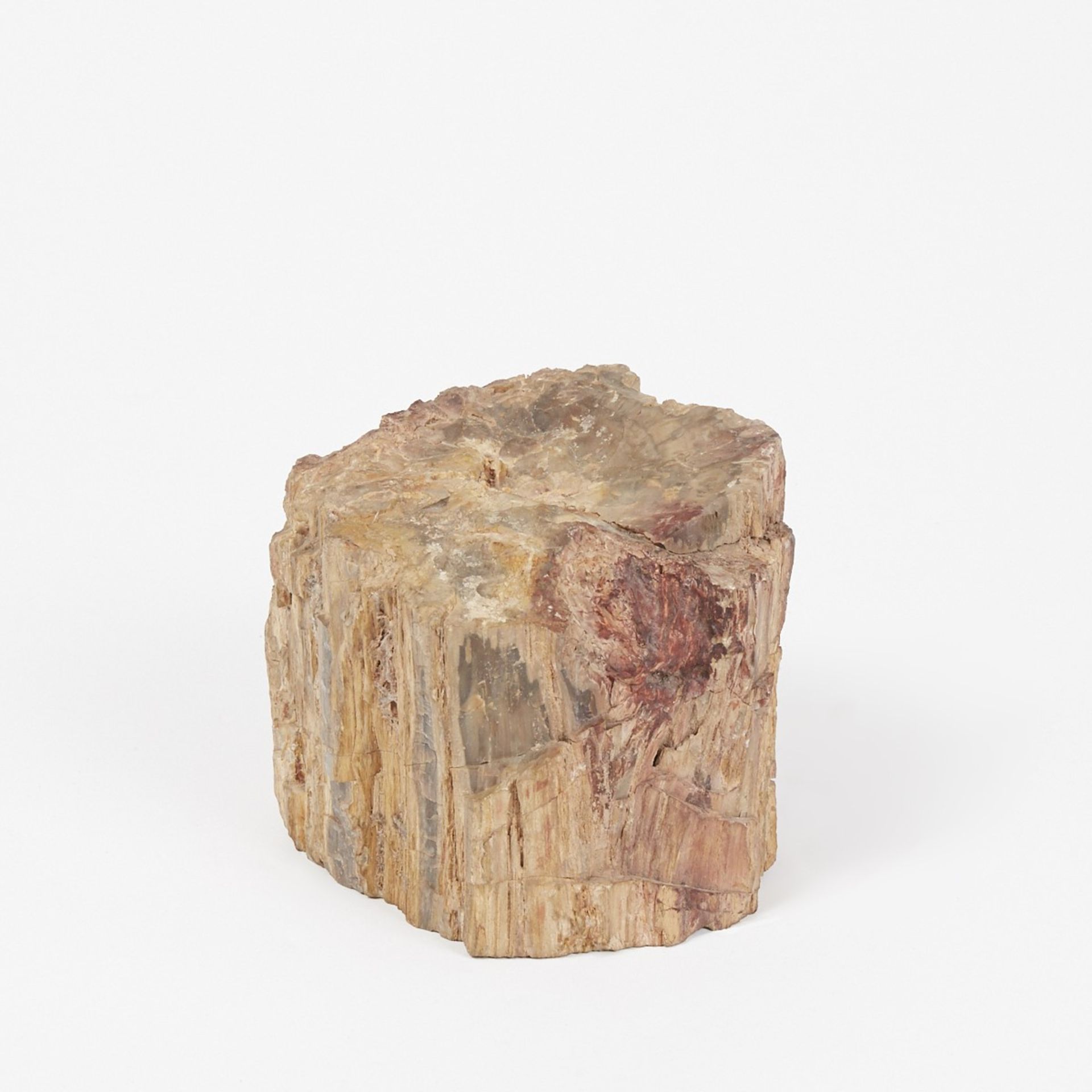 Large Petrified Wood Stump or Branch - Image 3 of 7