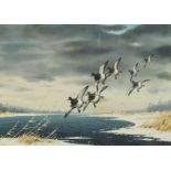 Les Kouba Flying Ducks Watercolor