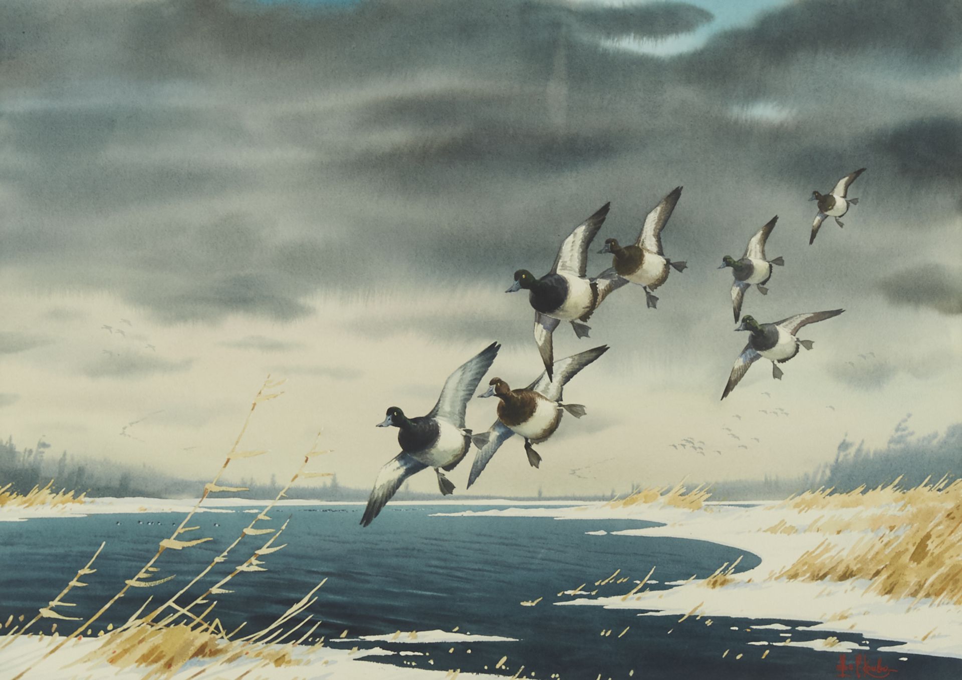 Les Kouba Flying Ducks Watercolor