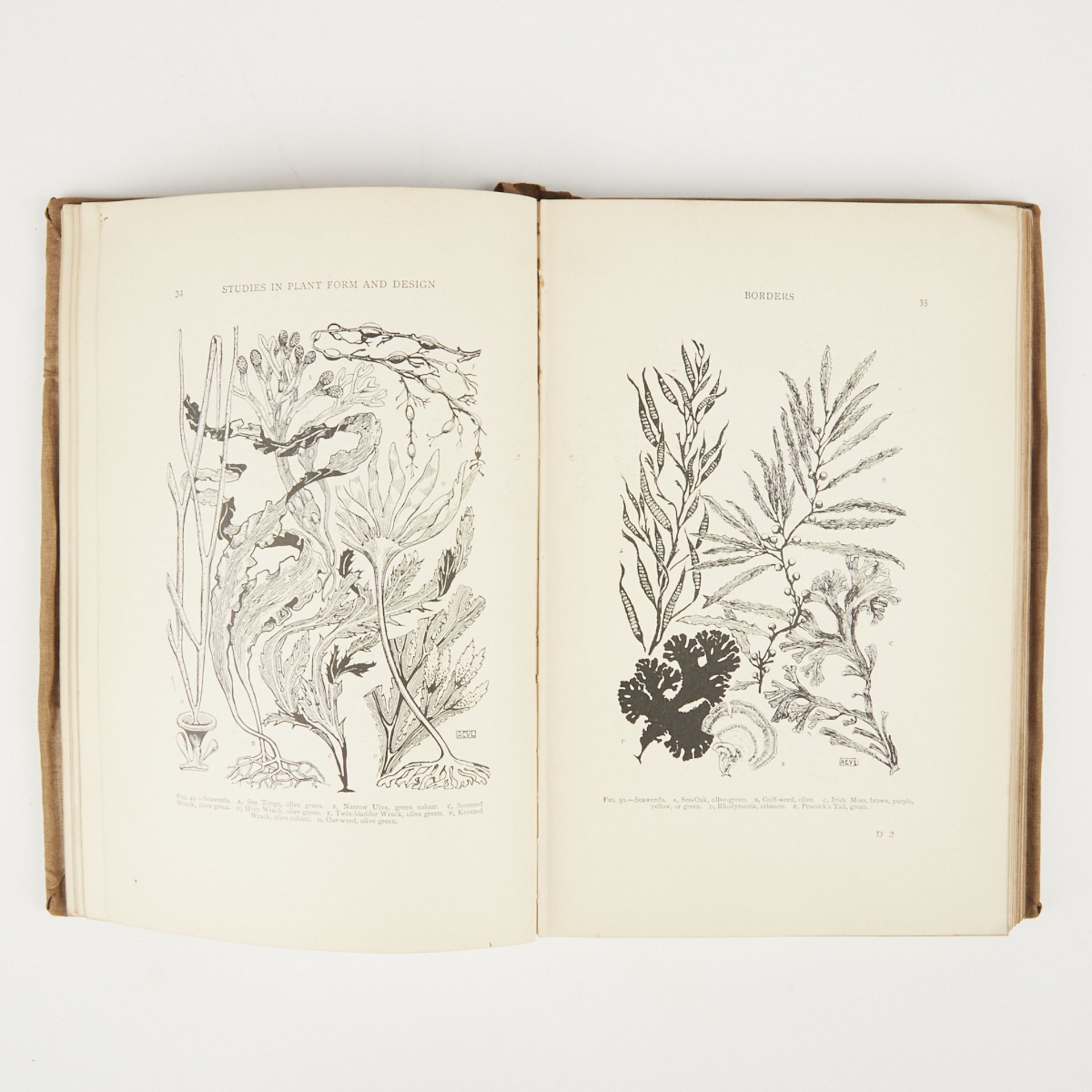 A.E.V. Lilley & W. Midgley "Plant Form and Design" w/ Embroidered Cover - Image 3 of 6