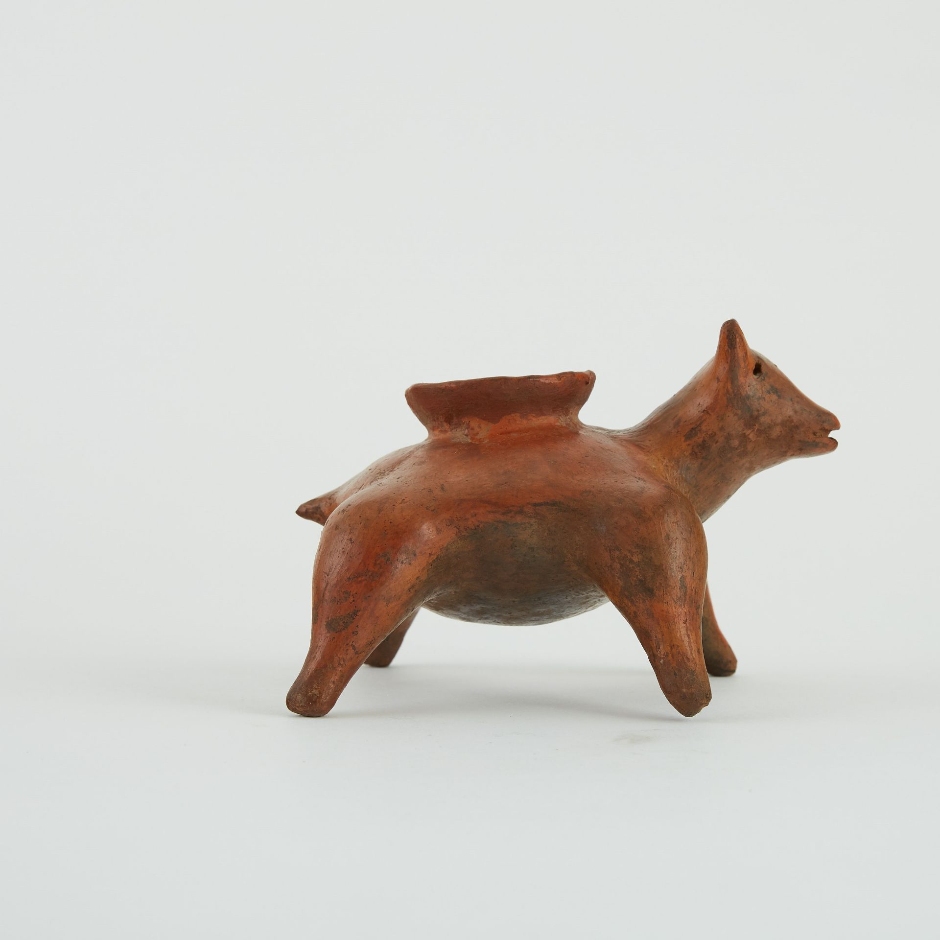 Pre-Columbian Nayarit Ceramic Dog Vessel - Bild 2 aus 6