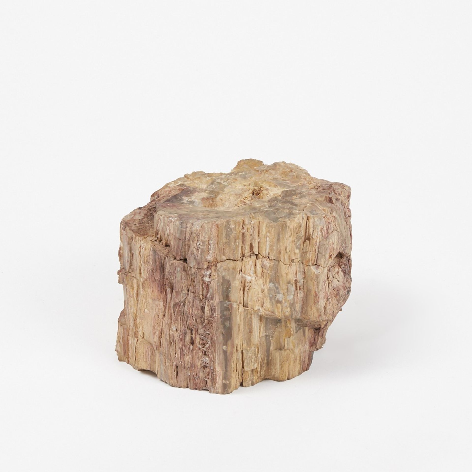 Large Petrified Wood Stump or Branch - Image 4 of 7