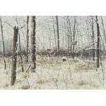 Noel L. Dunn Pheasant Flying Winter Landscape Watercolor
