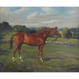 Franklin Brooke Voss "Ulic" Portrait of Thoroughbred Oil on Canvas