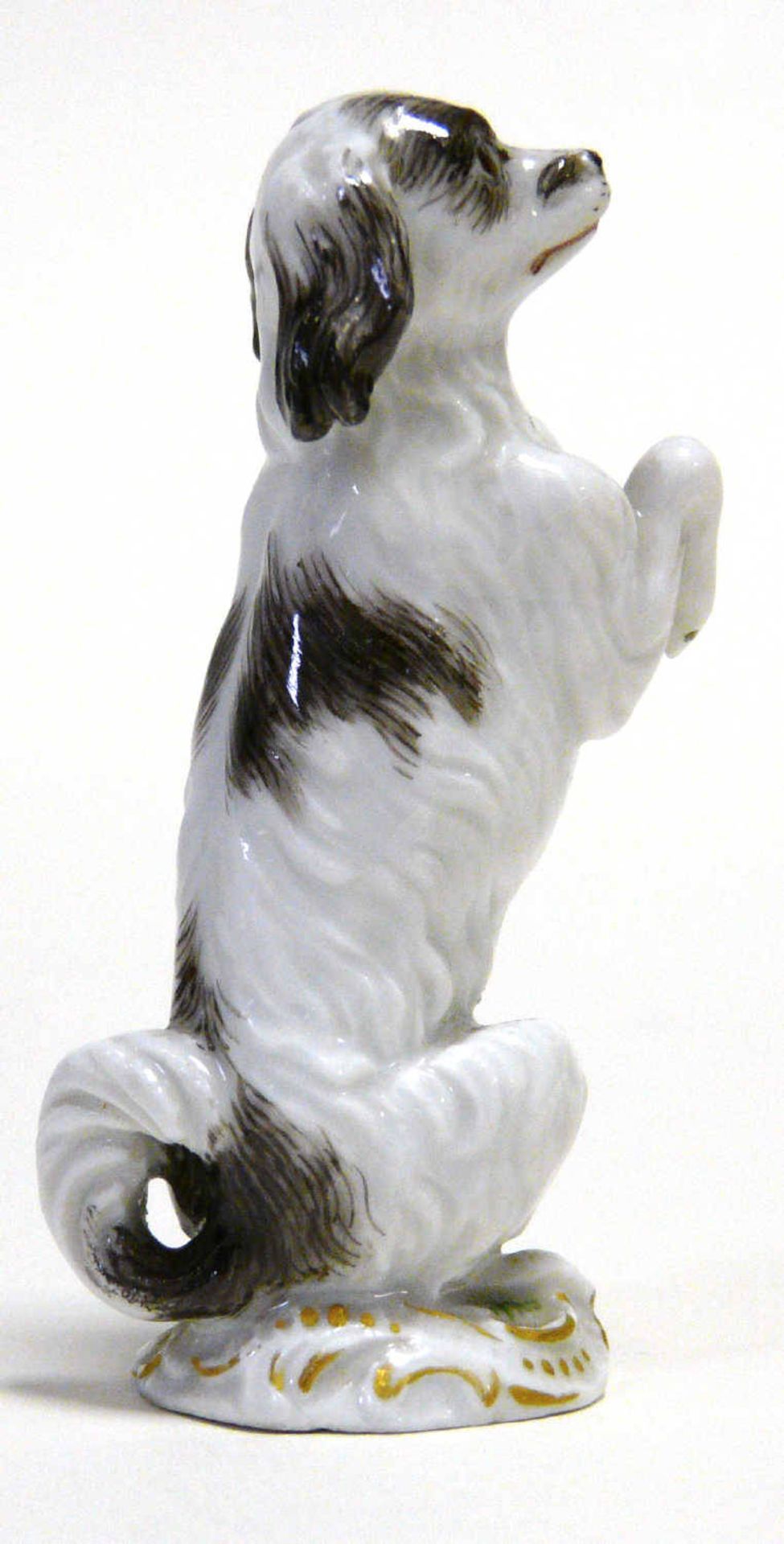 Miniatur - Hundeskulptur MeissenBologneser Hund Meissen, 19. Jahrhundert. Seltene Miniatur - - Image 3 of 4
